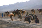 Nomadic Tribes of Afghanistan