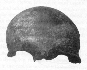 skull2.jpg (17634 bytes)