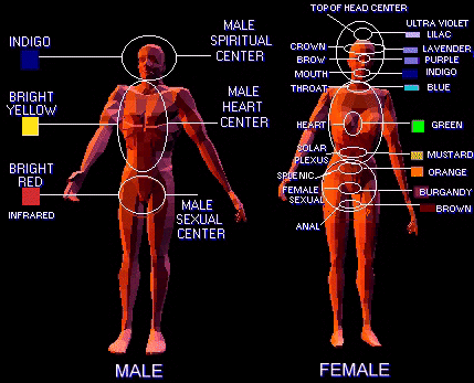 Male and Female Chakras