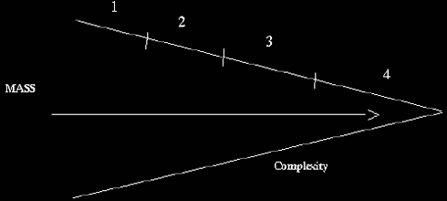 Mass and Complexity