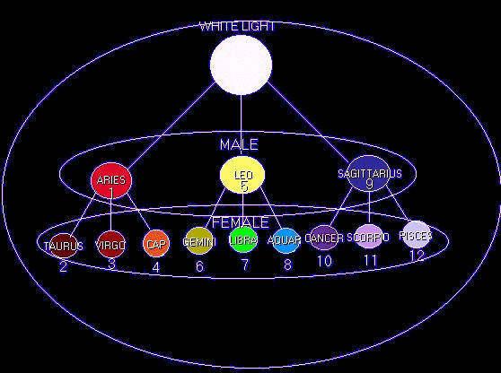 Origins of differences between man and woman