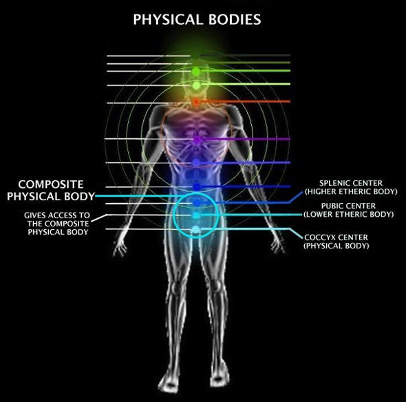 Physical Bodies