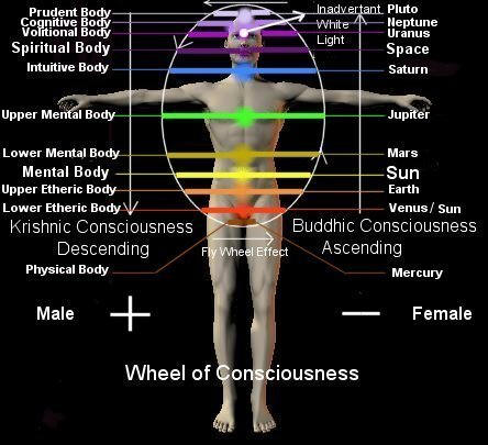 Wheel of Consciousness