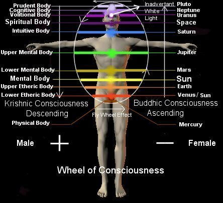Wheels of Consciousness