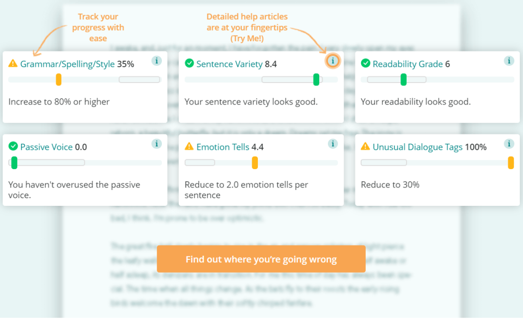 ProWritingAid Accuracy