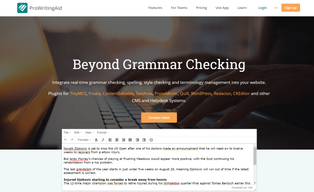 ProWritingAid Grammar Checker