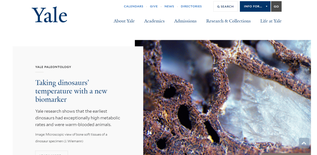 Yale University Yale University - Best Business Schools in the US